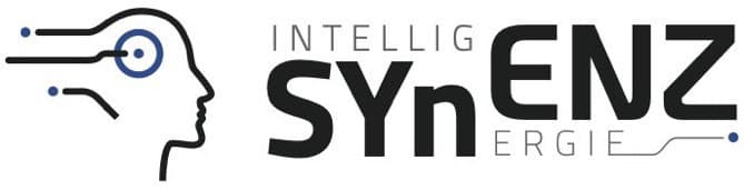 (Archiv) 2019 SYnENZ (1. Sym- posium)